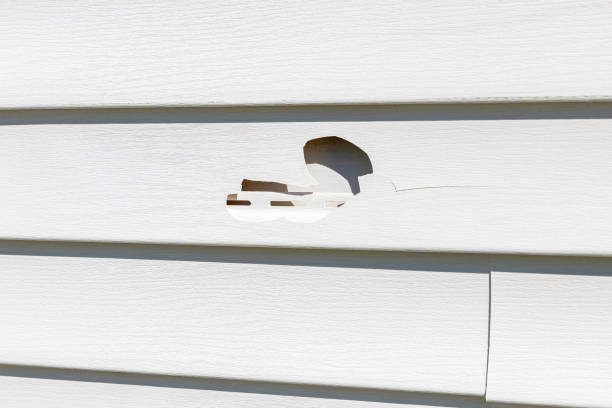 Best Insulated Siding Installation  in Elberta, AL