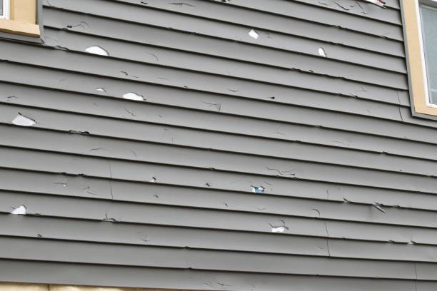 Best Storm Damage Siding Repair  in Elberta, AL