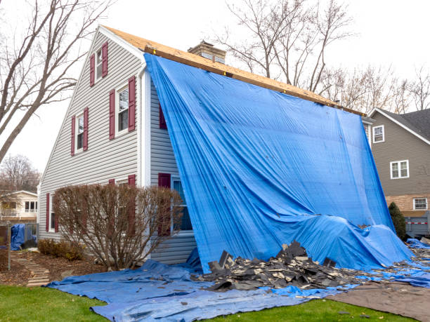 Best Steel Siding Installation  in Elberta, AL